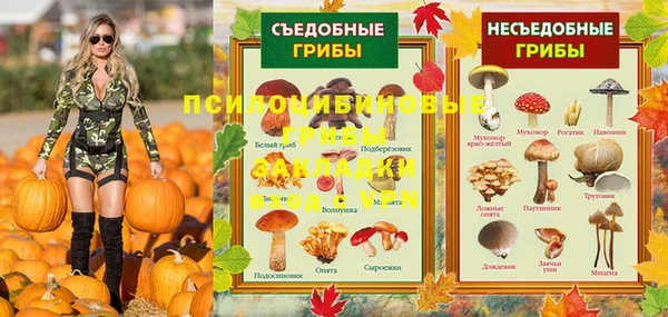 первитин Богданович