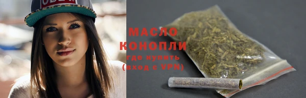 мдпв Богородицк