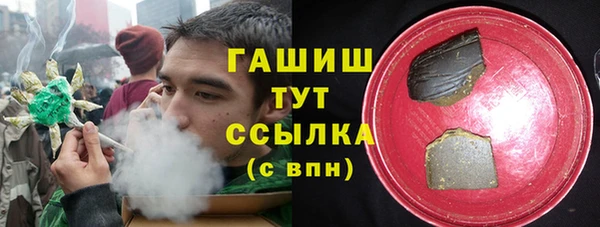 мдпв Богородицк